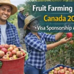 Fruit Picking Jobs in Canada With Visa Sponsorship 2026 – Apply for Farm Work