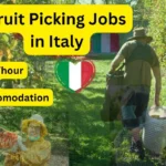 Fruit Picking Jobs in Italy With Free Accommodation 2026 – Visa Sponsorship Farm Work